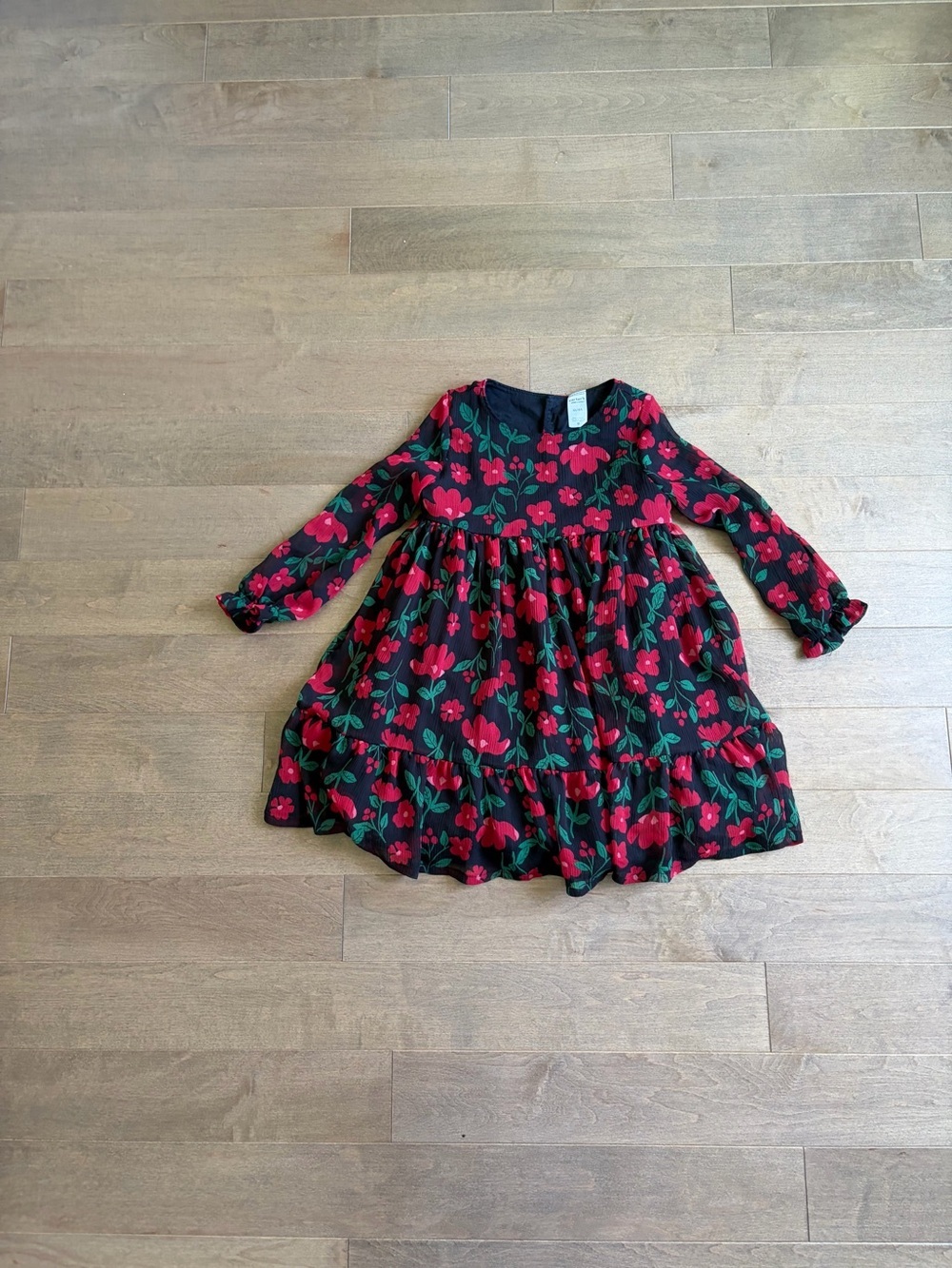 Carter's Black Dress with Red Floral Print and Green Leaves